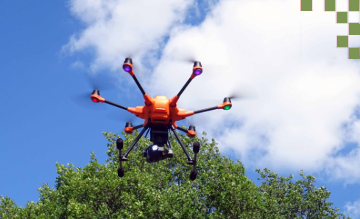Mit KI-Drohnen die Wälder besser schützen