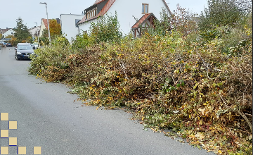 Grüngutabfuhr ja, illegale Abfallentsorgung nein!